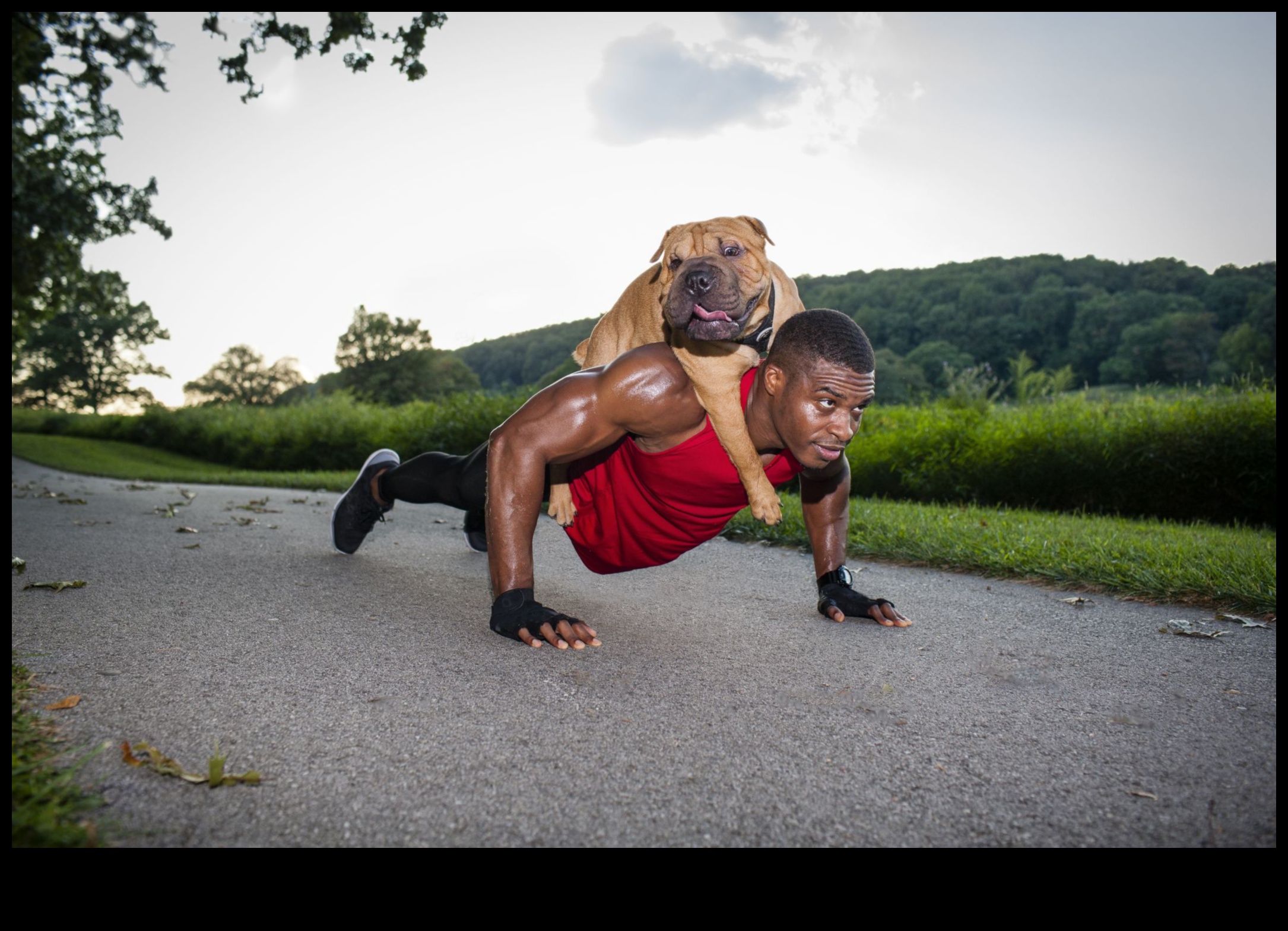 Cardio כלבים שומר על כושר הכלב שלך עם תרגיל מהנה 2 Cardio כלבים: שמירה על כושר הכלב שלך עם פעילות גופנית מהנה