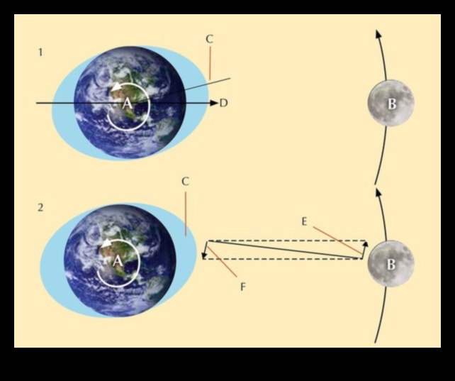 כבידה הירחי: בן לוויה של כדור הארץ במשיכה הקוסמית