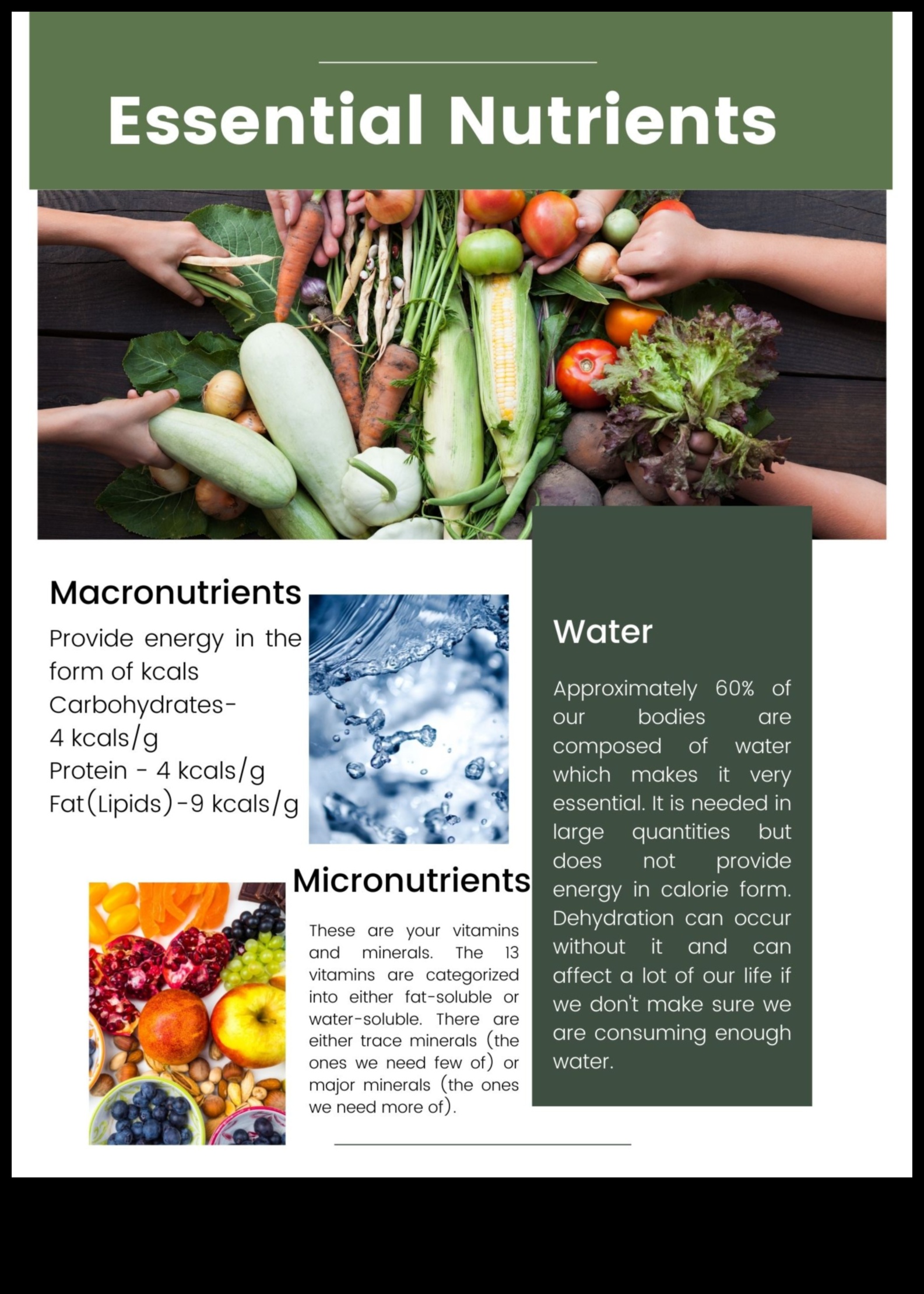 ניווט בתזונה מדריך לחומרי התזונה החיוניים 2 ניווט בתזונה: מפת הדרכים התזונתית החיונית