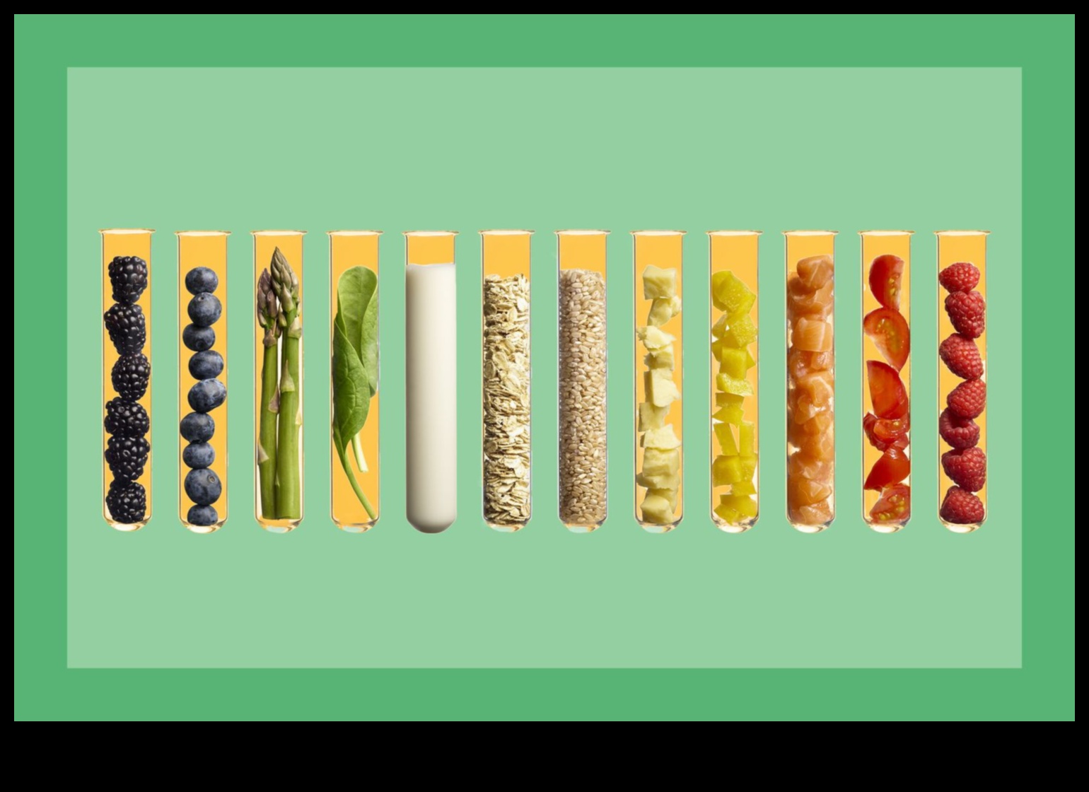 ניווט בתזונה מדריך לחומרי התזונה החיוניים 3 ניווט בתזונה: מפת הדרכים התזונתית החיונית