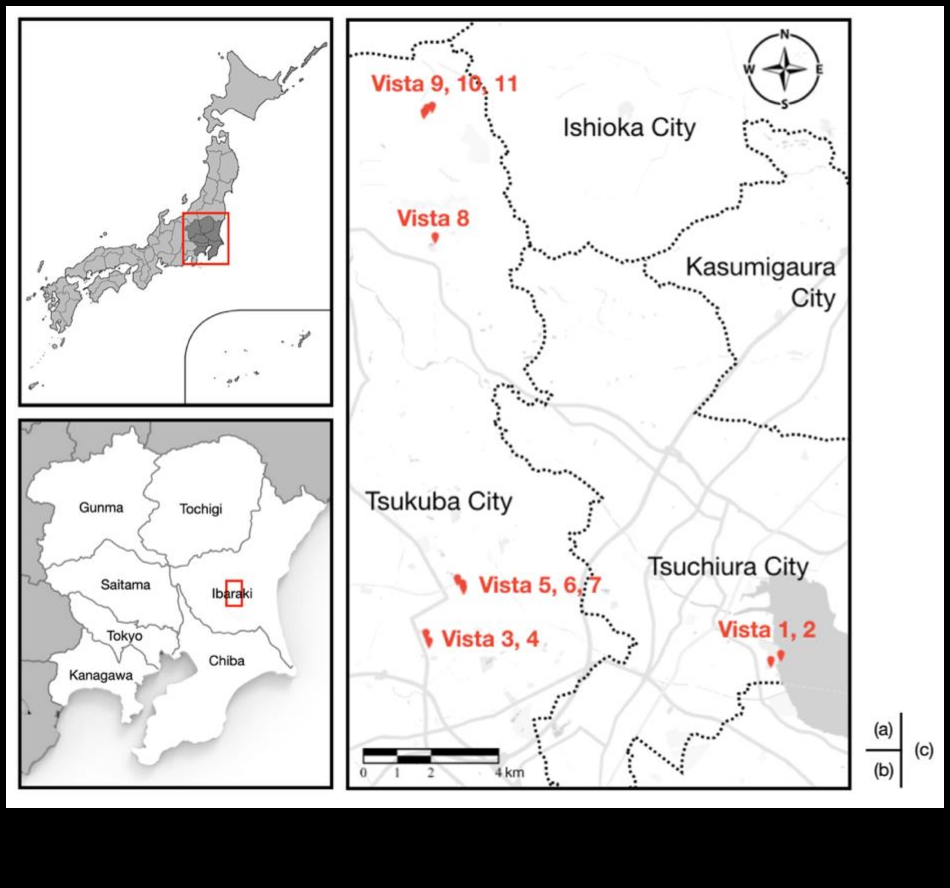 Vistas וירטואליים: סקירת נוף התקשורת המקוונת