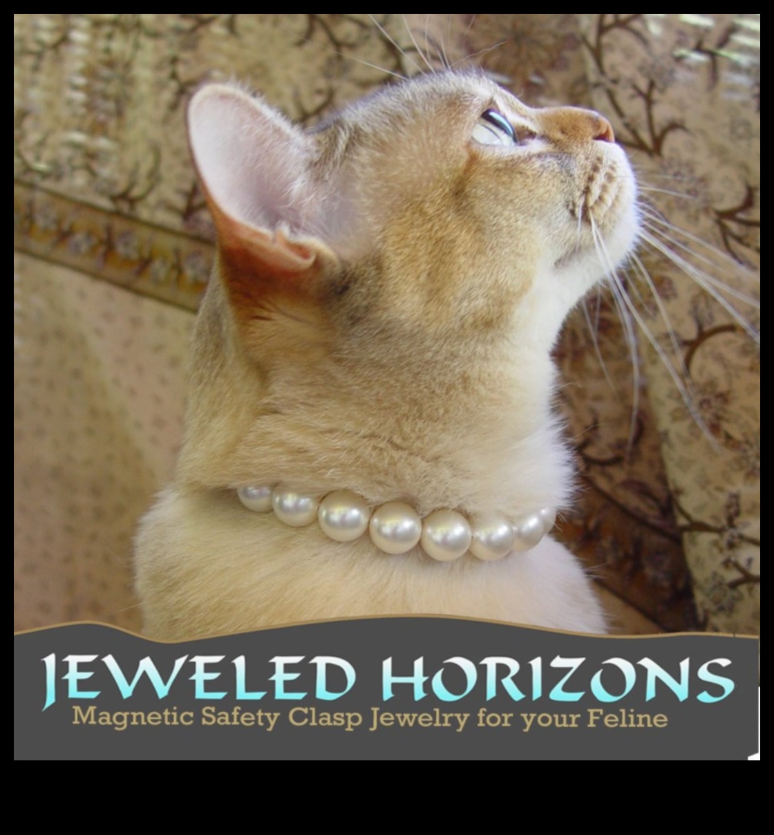 צווארון חתול ליצירת אביזרים אופנתיים לאופנה חתולית 4 קוטור צווארון חתול: יצירת אביזרים אופנתיים לאופנה חתולית