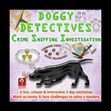 בלשי כלבלב: פתרון תעלומות התנהגות נפוצות של כלבים