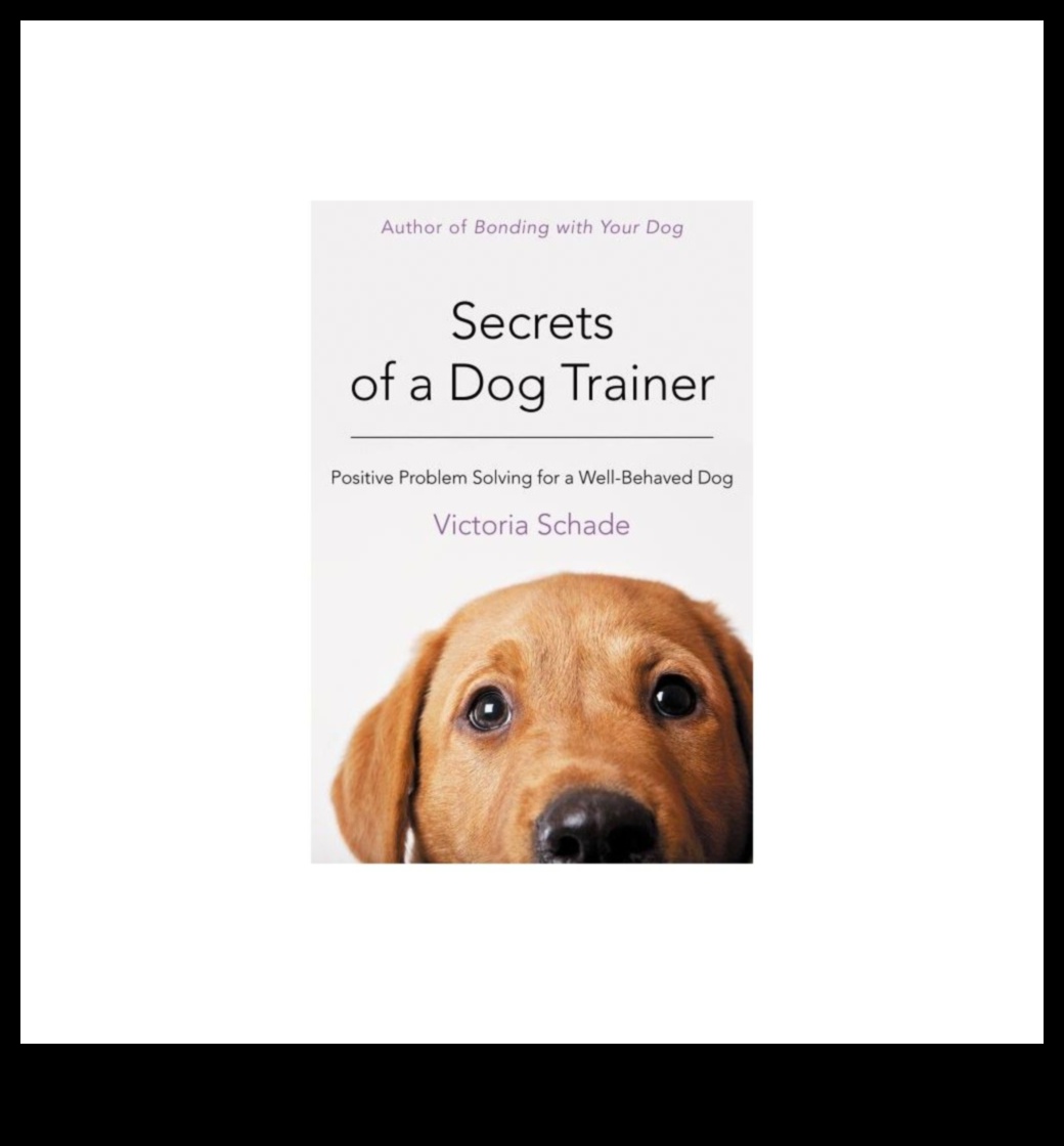 בלשי כלבלב: פתרון תעלומות התנהגות נפוצות של כלבים