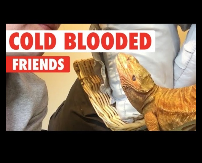 זוחלים ב-Retreat מקומות שיזוף עשה זאת בעצמך עבור החברים שלך בדם קר 2 המשך נסיגת זוחלים: נקודות שיזוף עשה זאת בעצמך לזוחלים