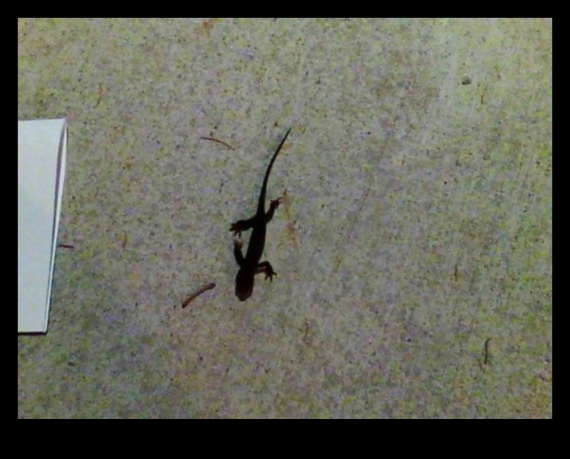 זוחלים ב-Retreat נקודות שיזוף עשה זאת בעצמך עבור החברים שלך בדם קר 4 המשך נסיגת זוחלים: נקודות שיזוף עשה זאת בעצמך לזוחלים