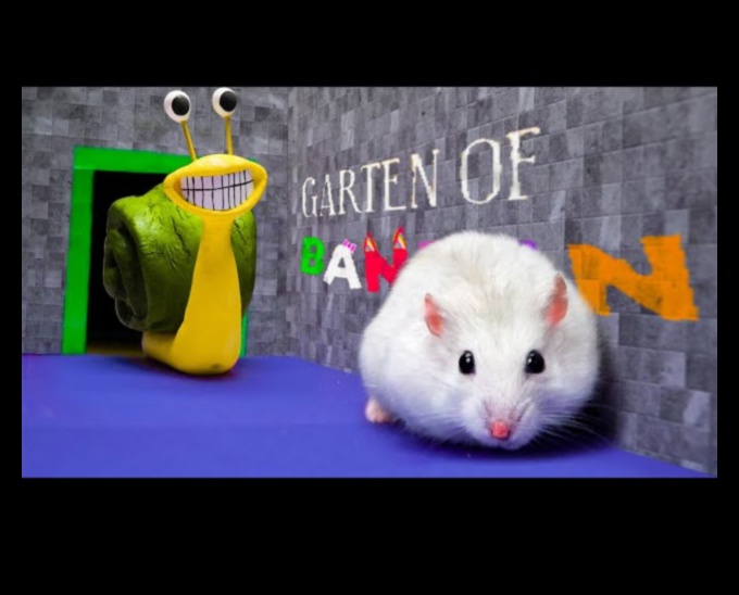 אתגרי מחבוא אוגרים: בניית מבוכים מורכבים