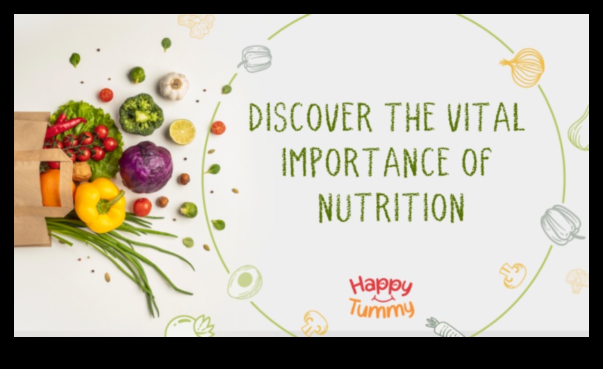 המוח הניזון: פתיחת פוטנציאל באמצעות ייעוץ תזונה מומחה