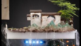 זן דגי טנק המשך: שיפור תאורת האקווריום לשלווה