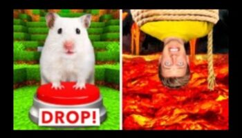 אתגרי מחבוא אוגרים: בניית מבוכים מורכבים