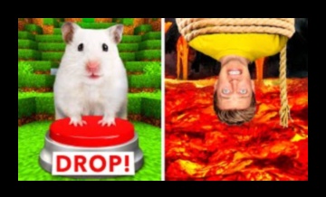 אתגרי מחבוא אוגרים: בניית מבוכים מורכבים