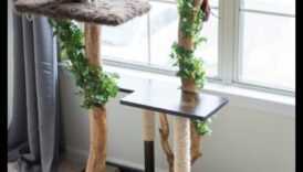 ריהוט חתול עשה זאת בעצמך: בניית עמודי גירוד ומבני טיפוס