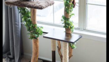 ריהוט חתול עשה זאת בעצמך: בניית עמודי גירוד ומבני טיפוס