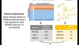 אבולוציה של ביטוי: למידת מכונה לאורך הדורות