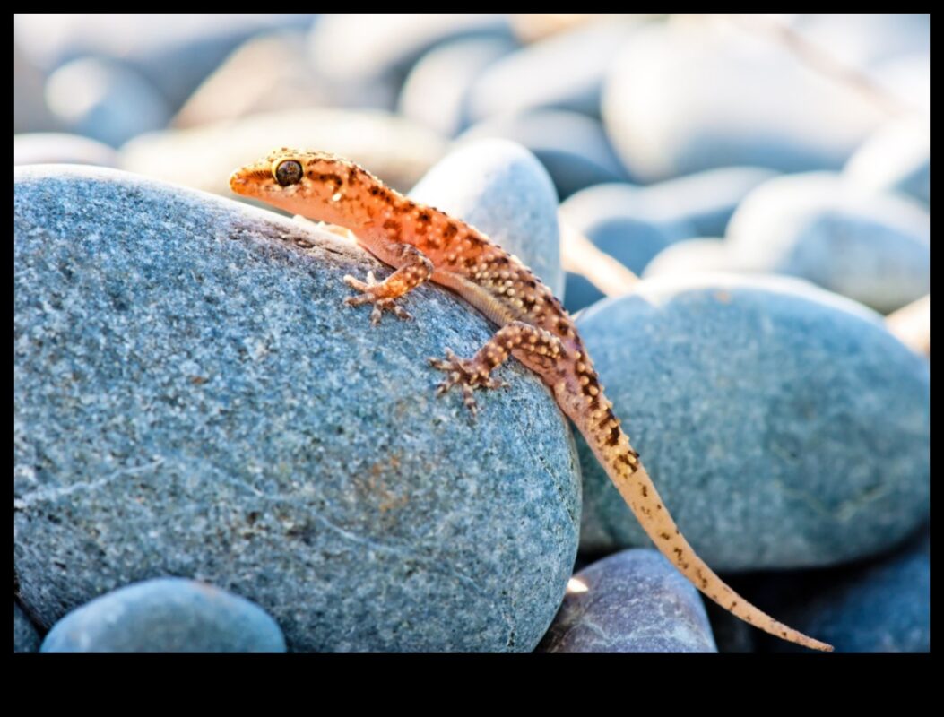 המשך נסיגת זוחלים: נקודות שיזוף עשה זאת בעצמך לזוחלים