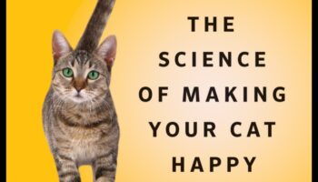 חללים בהתאמה אישית לגרגר: התאמת ביתך לנוחות החתול שלך