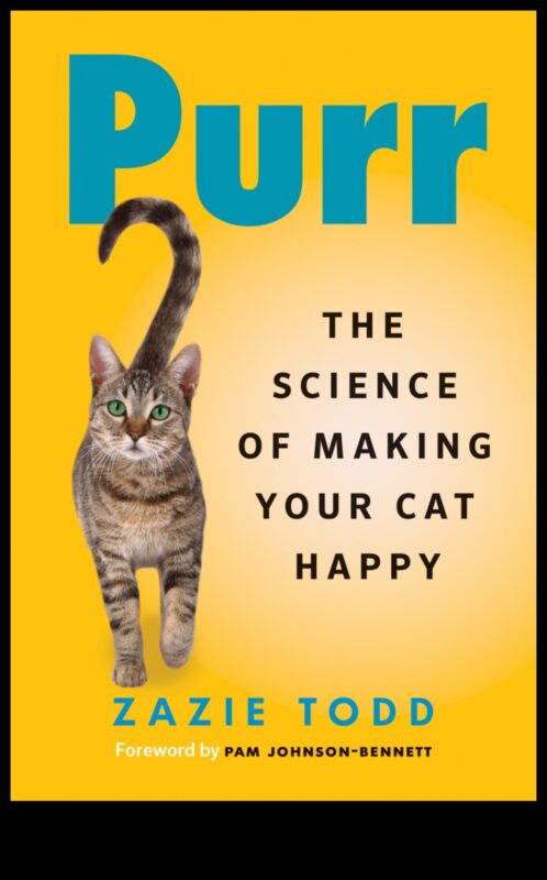 חללים בהתאמה אישית לגרגר: התאמת ביתך לנוחות החתול שלך