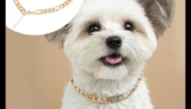 קסם כלבים: אביזרים מקסימים לקולר של הכלב שלך