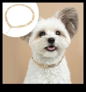 קסם כלבים: אביזרים מקסימים לקולר של הכלב שלך