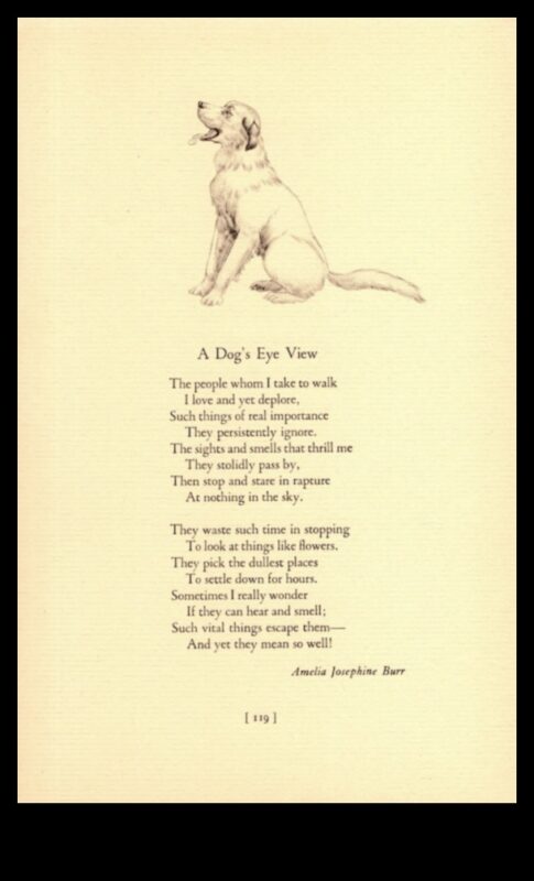 שירה מודפסת כפות: אוסף אודות לכלבים