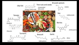 שליטה בתפריט מולקולרי: יצירת בריאות באמצעות ביוכימיה תזונתית