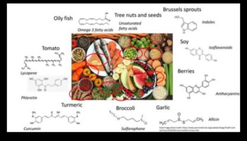 שליטה בתפריט מולקולרי: יצירת בריאות באמצעות ביוכימיה תזונתית