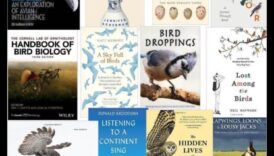 מתווה הרפתקה של שומר ציפורים חוקר בתי גידול לציפורים מסביב לגלובוס 6 ספר מסע של צופה הציפורים: חקר בתי גידול לציפורים ברחבי העולם