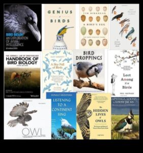 ספר מסע של צופה הציפורים: חקר בתי גידול לציפורים ברחבי העולם